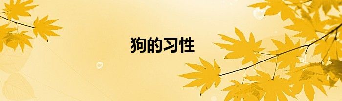 狗的习性