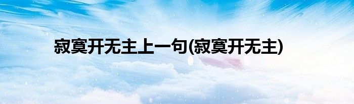 寂寞开无主上一句(寂寞开无主)