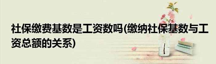 社保缴费基数是工资数吗(缴纳社保基数与工资总额的关系)
