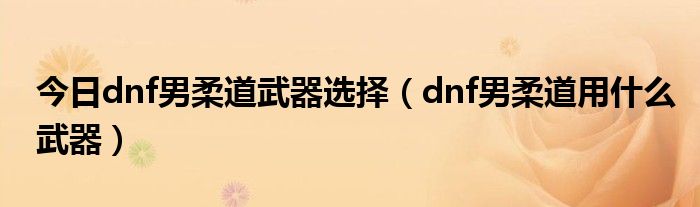 今日dnf男柔道武器选择（dnf男柔道用什么武器）