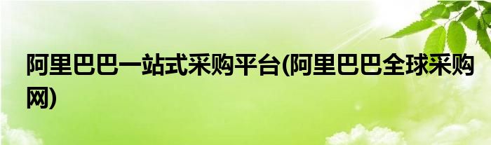 阿里巴巴一站式采购平台(阿里巴巴全球采购网)