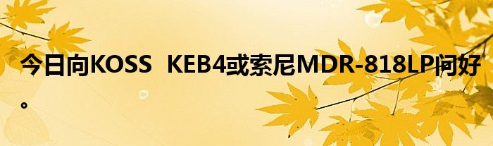 今日向KOSS  KEB4或索尼MDR-818LP问好。