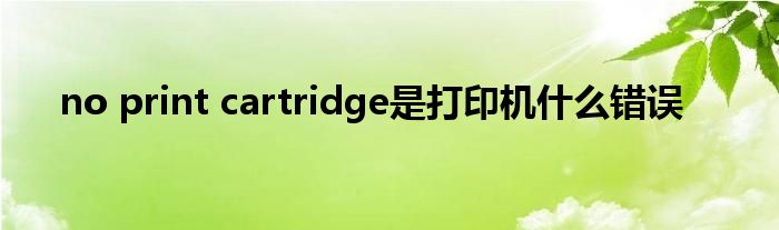 no print cartridge是打印机什么错误