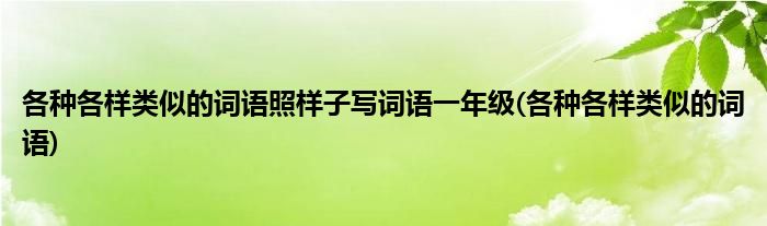 各种各样类似的词语照样子写词语一年级(各种各样类似的词语)
