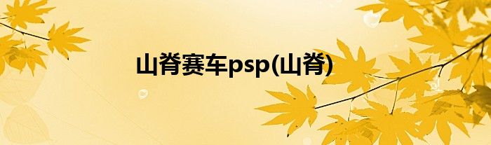 山脊赛车psp(山脊)