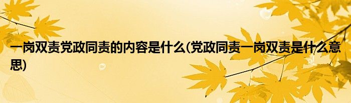 一岗双责党政同责的内容是什么(党政同责一岗双责是什么意思)