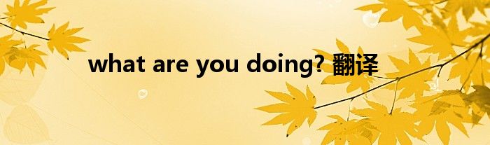 what are you doing? 翻译