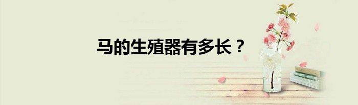 马的生殖器有多长？