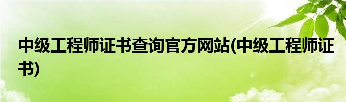 中级工程师证书查询官方网站(中级工程师证书)