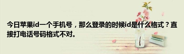 今日苹果id一个手机号，那么登录的时候id是什么格式？直接打电话号码格式不对。