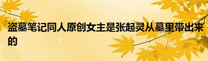 盗墓笔记同人原创女主是张起灵从墓里带出来的