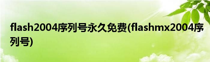 flash2004序列号永久免费(flashmx2004序列号)