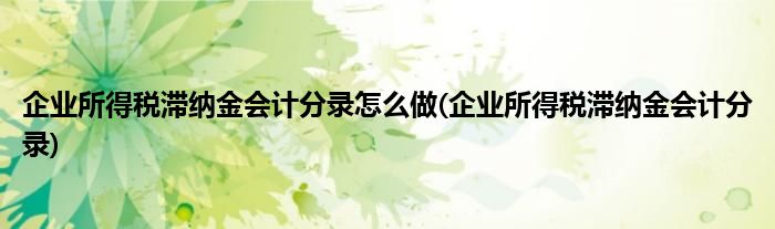 企业所得税滞纳金会计分录怎么做(企业所得税滞纳金会计分录)