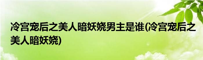 冷宫宠后之美人暗妖娆男主是谁(冷宫宠后之美人暗妖娆)