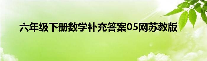 六年级下册数学补充答案05网苏教版
