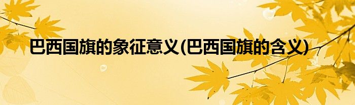 巴西国旗的象征意义(巴西国旗的含义)