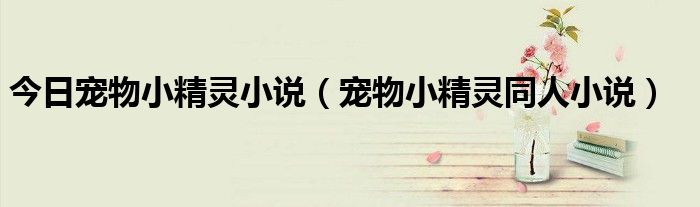 今日宠物小精灵小说（宠物小精灵同人小说）