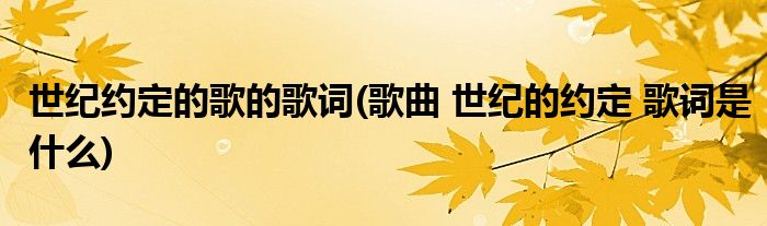 世纪约定的歌的歌词(歌曲 世纪的约定 歌词是什么)
