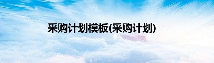 采购计划模板(采购计划)