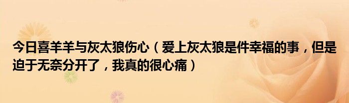 今日喜羊羊与灰太狼伤心（爱上灰太狼是件幸福的事，但是迫于无奈分开了，我真的很心痛）