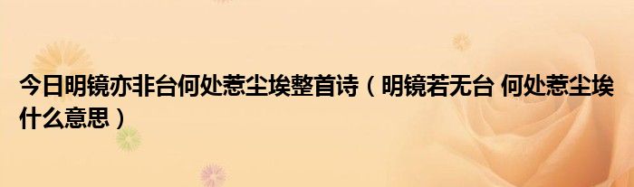 今日明镜亦非台何处惹尘埃整首诗（明镜若无台 何处惹尘埃什么意思）