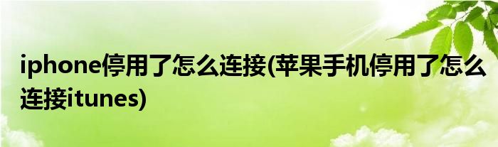 iphone停用了怎么连接(苹果手机停用了怎么连接itunes)