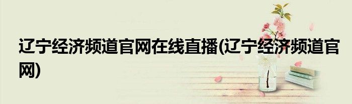 辽宁经济频道官网在线直播(辽宁经济频道官网)