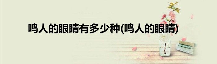 鸣人的眼睛有多少种(鸣人的眼睛)