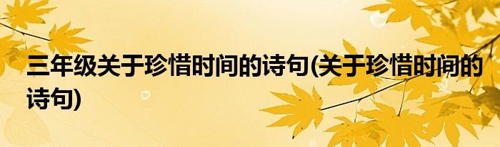 三年级关于珍惜时间的诗句(关于珍惜时间的诗句)