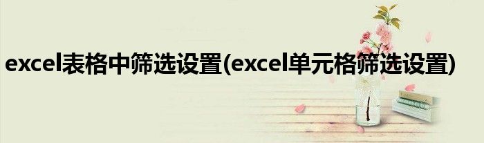 excel表格中筛选设置(excel单元格筛选设置)