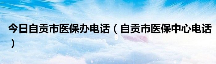 今日自贡市医保办电话（自贡市医保中心电话）