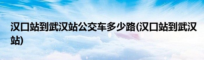 汉口站到武汉站公交车多少路(汉口站到武汉站)
