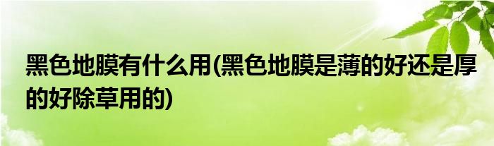 黑色地膜有什么用(黑色地膜是薄的好还是厚的好除草用的)