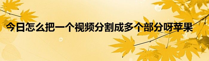 今日怎么把一个视频分割成多个部分呀苹果