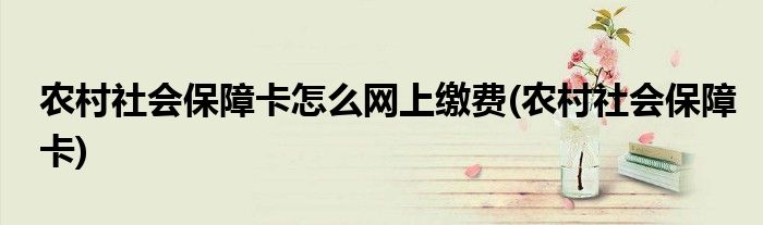 农村社会保障卡怎么网上缴费(农村社会保障卡)