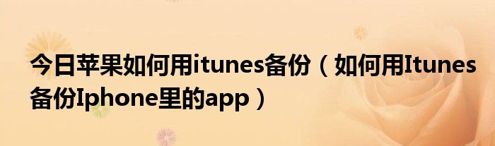 今日苹果如何用itunes备份（如何用Itunes备份Iphone里的app）
