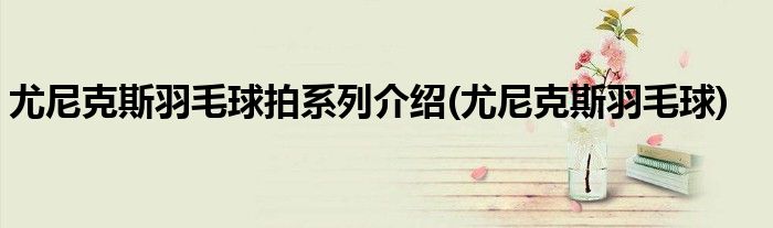 尤尼克斯羽毛球拍系列介绍(尤尼克斯羽毛球)