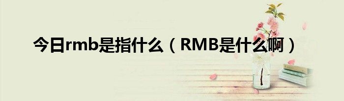 今日rmb是指什么（RMB是什么啊）