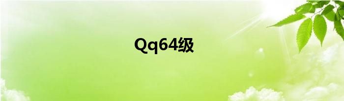 Qq64级
