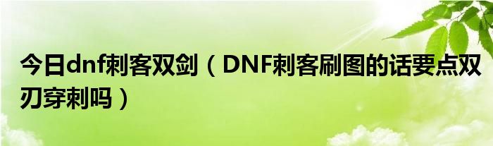 今日dnf刺客双剑（DNF刺客刷图的话要点双刃穿刺吗）
