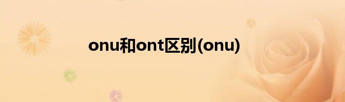 onu和ont区别(onu)