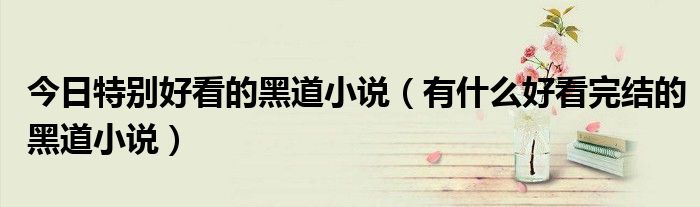 今日特别好看的黑道小说（有什么好看完结的黑道小说）