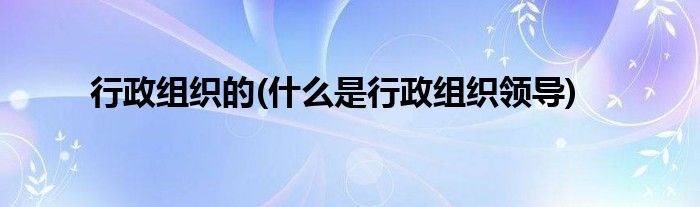 行政组织的(什么是行政组织领导)
