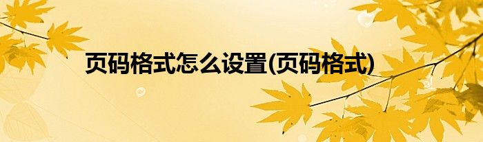 页码格式怎么设置(页码格式)