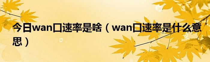 今日wan口速率是啥（wan口速率是什么意思）