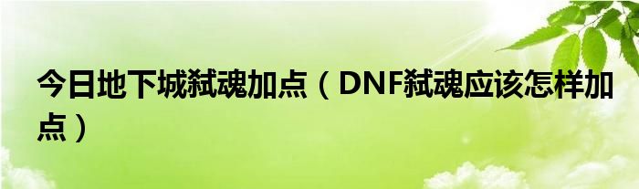 今日地下城弑魂加点（DNF弑魂应该怎样加点）