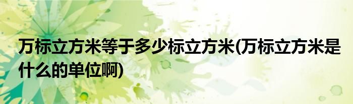 万标立方米等于多少标立方米(万标立方米是什么的单位啊)