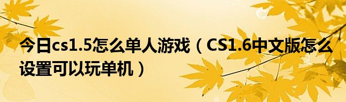 今日cs1.5怎么单人游戏（CS1.6中文版怎么设置可以玩单机）