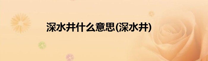 深水井什么意思(深水井)
