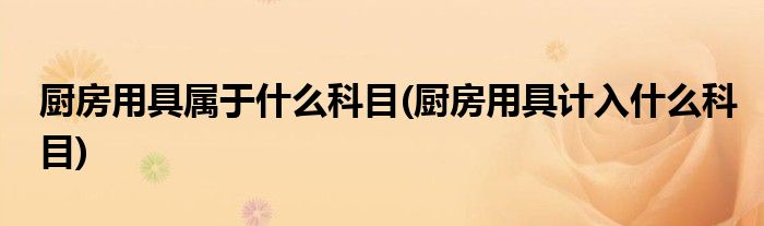 厨房用具属于什么科目(厨房用具计入什么科目)